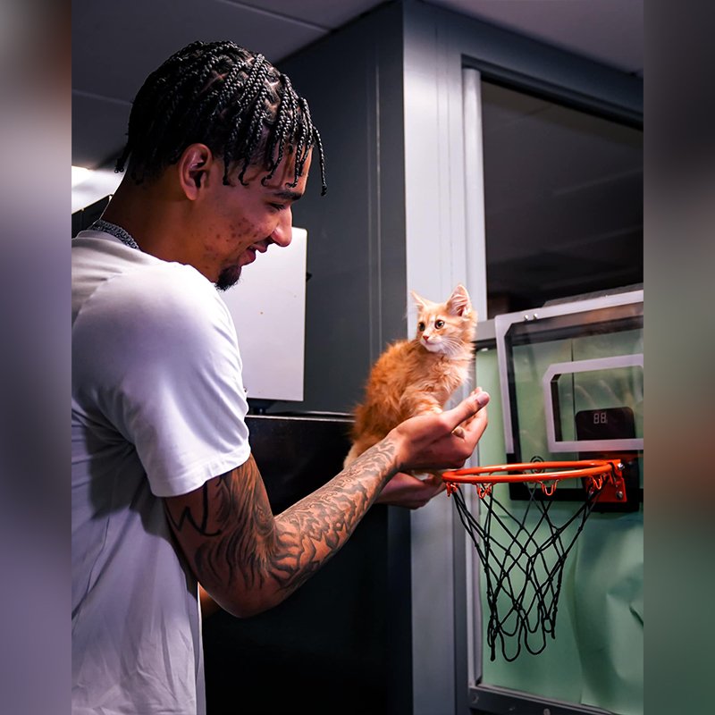 Miami Heat Player Kel’el Ware Adopted an Orange Kitten Lykos